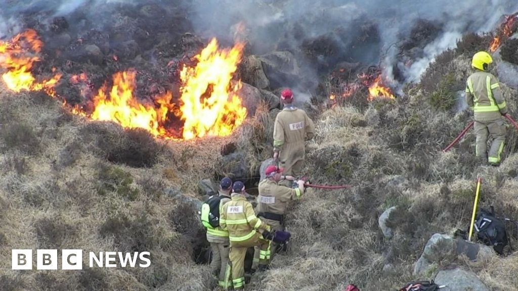 Mourne Mountains wildfires could push away some species, say conservationists