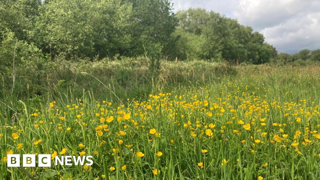 Danes Moss: MP praises fight against housing plan on peatland