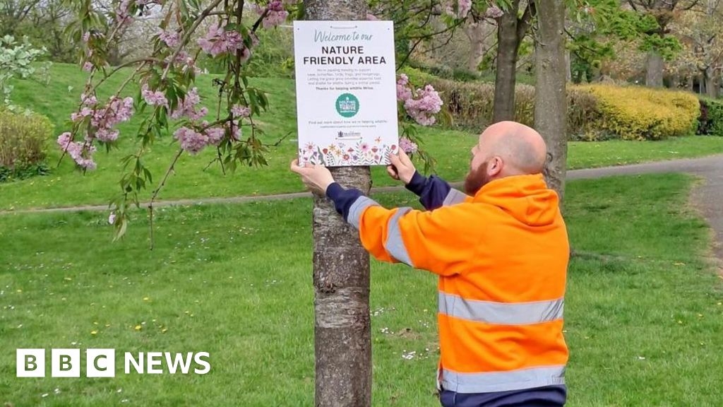 Bradford Council to 'naturalise' city's green spaces