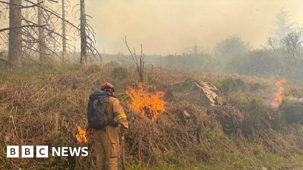 Slieve Beagh: Third of conservation site damaged in wildfire