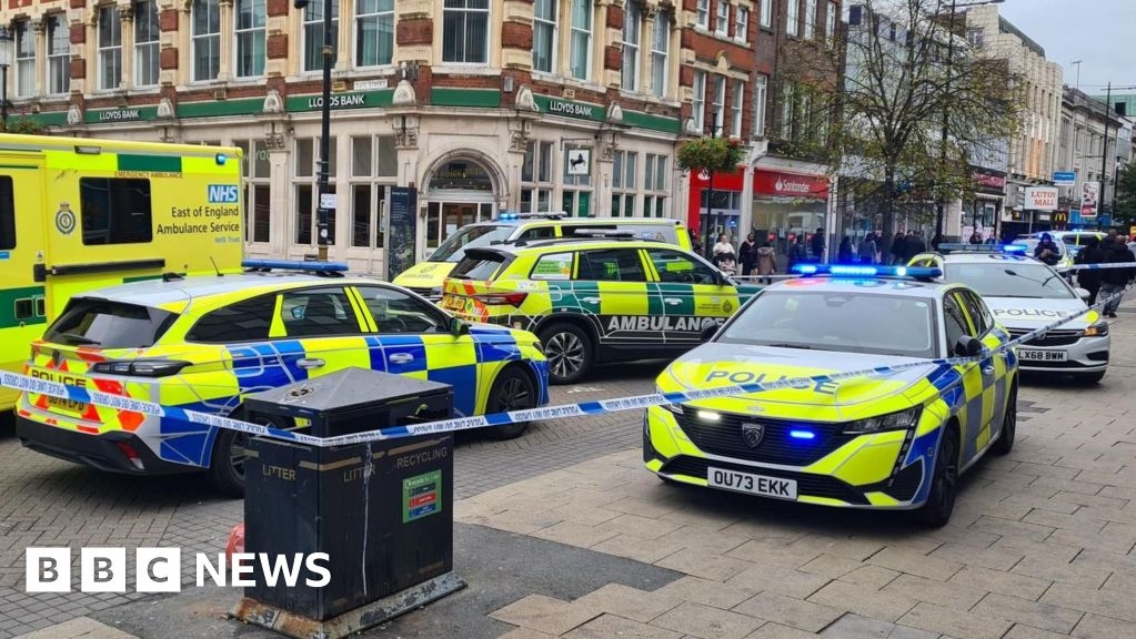 Brothers jailed after Luton machete attack on policeman