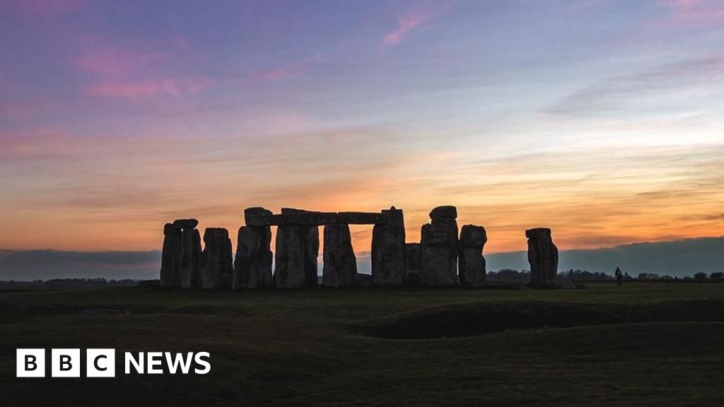 Wiltshire in pictures: Tigers, toads and Valentine's preparations