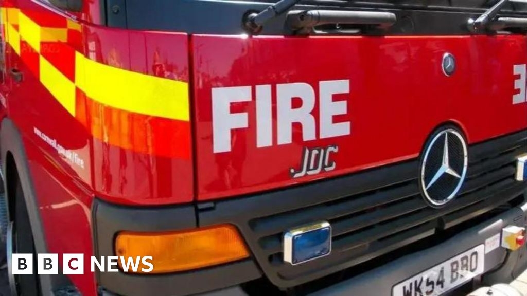 Dog rescued from mud in Truro after falling off riverbank