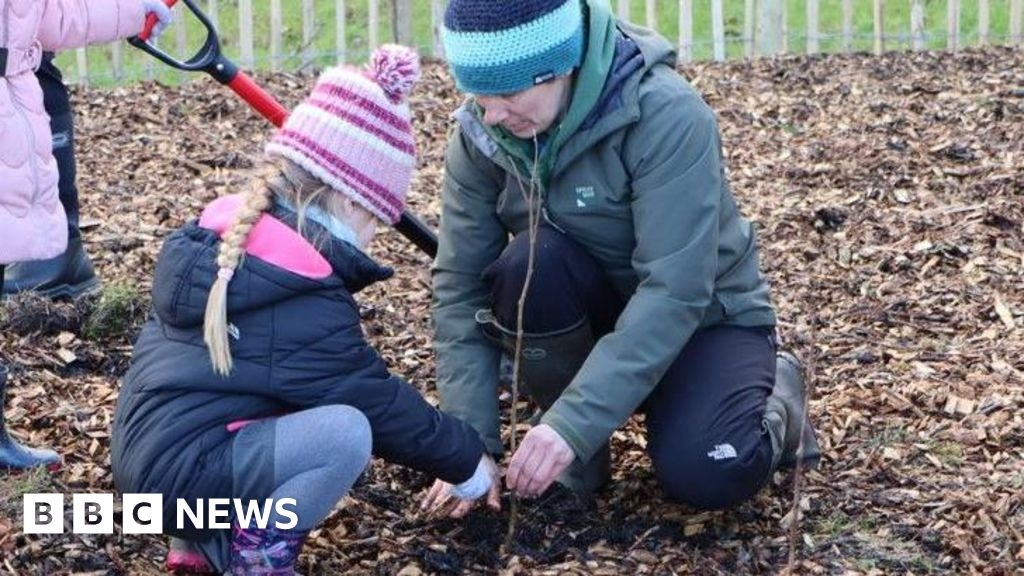 Japanese-style Miyawaki micro woods planted across Lancashire