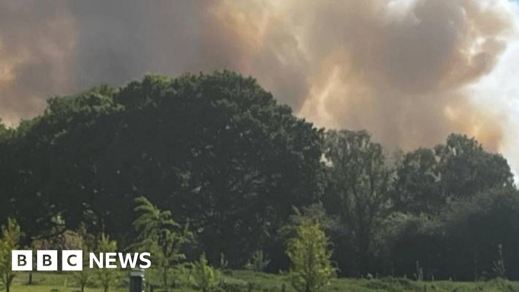 Large fire at Strensall Common nature reserve scaled back