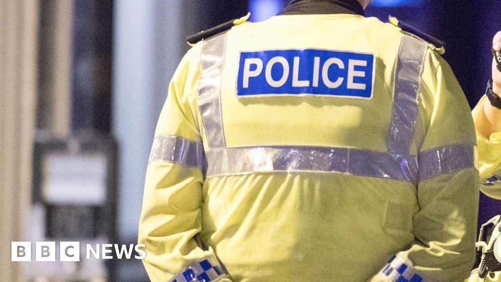 Swindon dog owner arrested following series of attacks