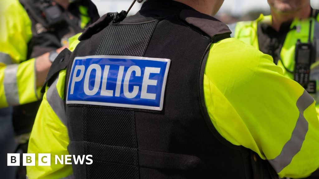 Rotherham dog mauled to death in attack by pocket bully