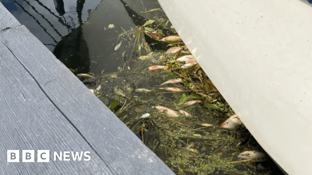 Environment Agency criticised over Whittlesey pollution incidents