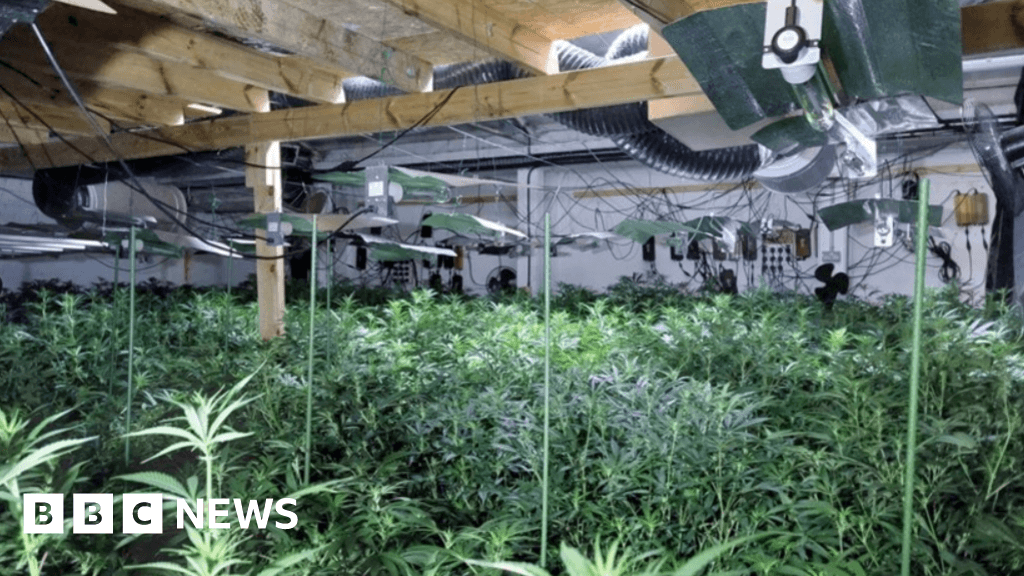 Two men jailed after cannabis worth £500,000 found in Hertford