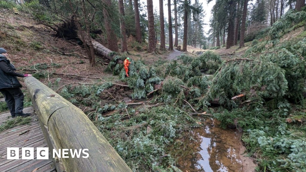 Northumberland's Cragside loses trees to Storm Éowyn