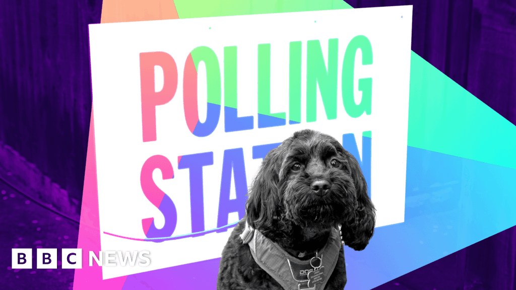 Chris Mason: A wildly unpredictable local elections