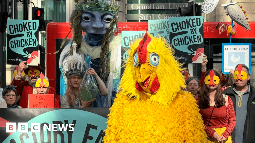 River Severn campaigners win chicken farm legal challenge