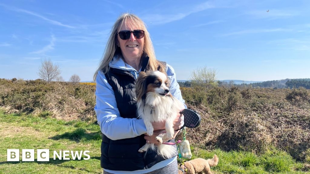 Dogs and owners work to help protect Devon countryside