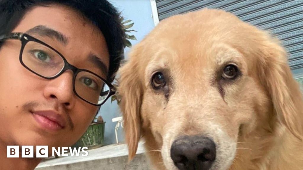 Sussex student's relief as family survives Myanmar earthquake