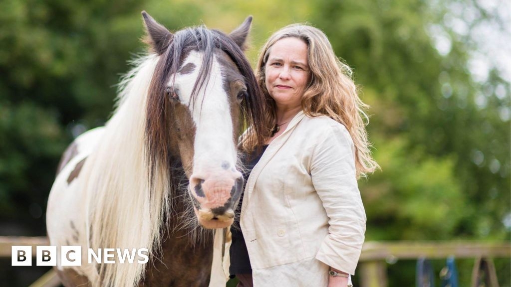 Stroud horses used for mental health have to relocate