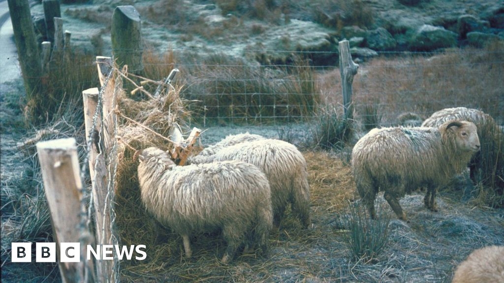 Farms' Natural Resources Wales sheep dip disposal ban for rivers