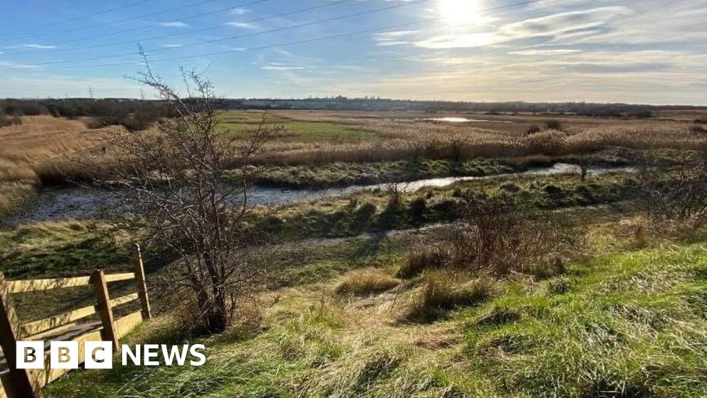 Swanscombe: Calls for protection for wildlife haven