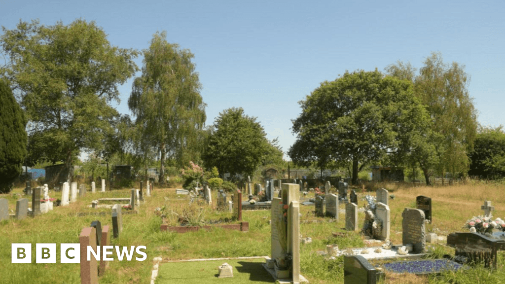 Southampton Airport granted licence to cut down cemetery trees