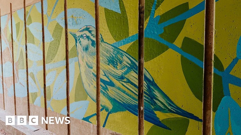 Hessle Country Park mural painted in bid to deter vandalism