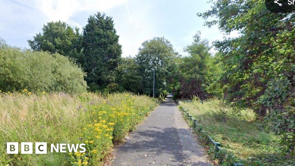 'Aggressive' suspected XL bully destroyed by police in Manchester