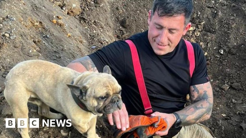 Dog rescued from underground pipe in Sudbury by firefighters