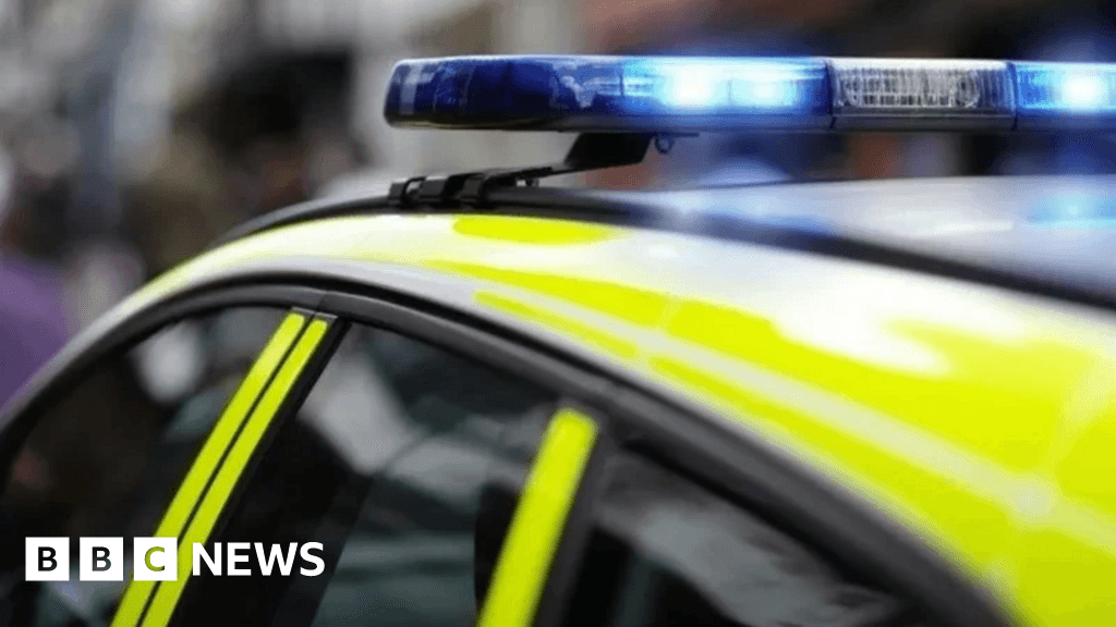 Hampshire police officer fired over racist texts wins appeal