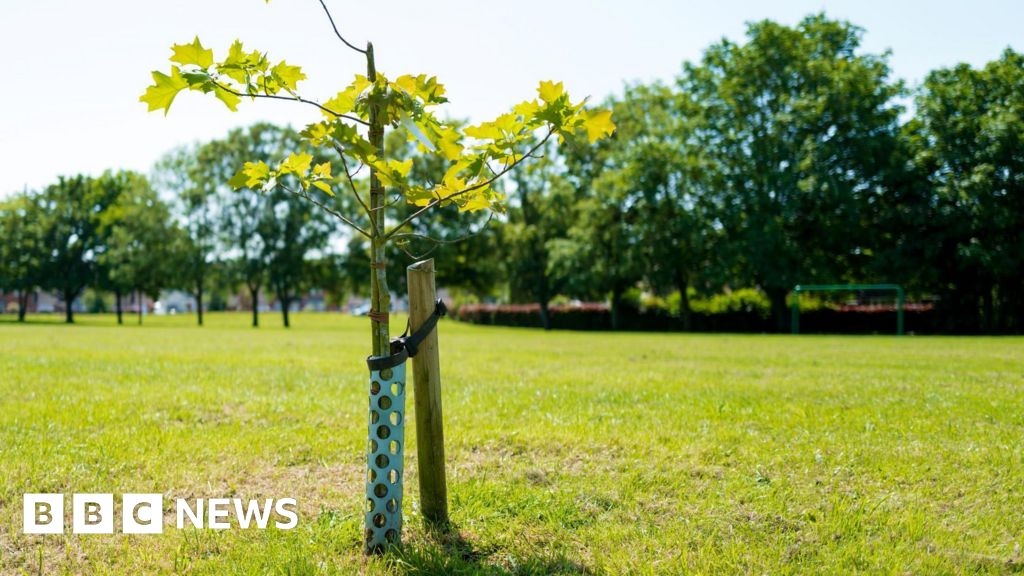 Fruit trees from Coronation fund given to North Northants groups