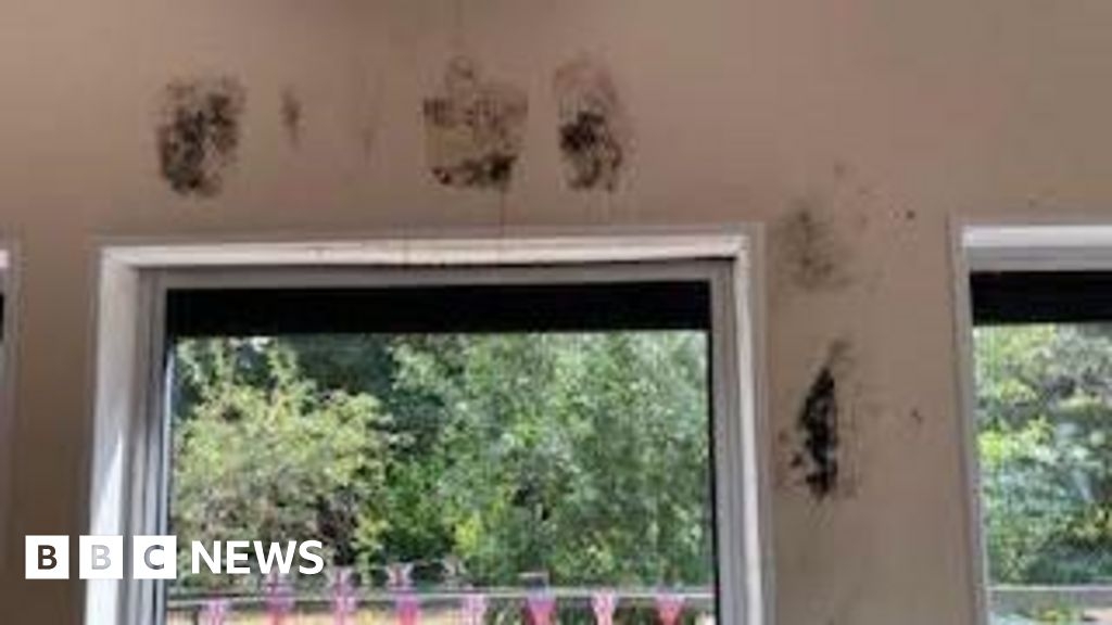 Hinckley school's fears over mouldy and 'unsafe' classrooms