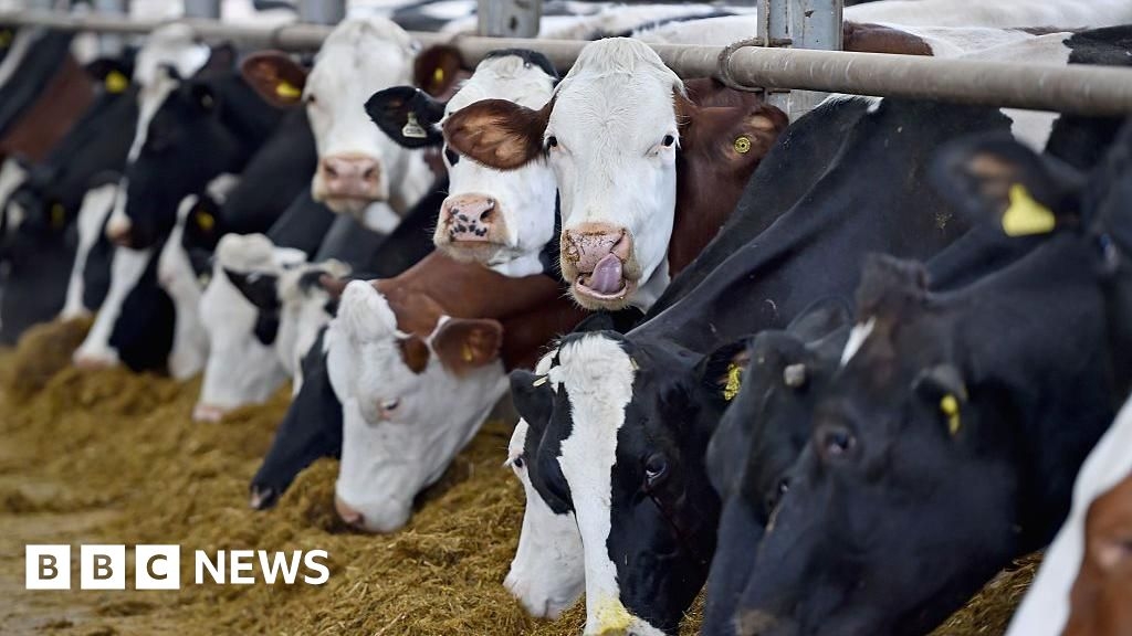 Multi-million pound dairy innovation centre opens