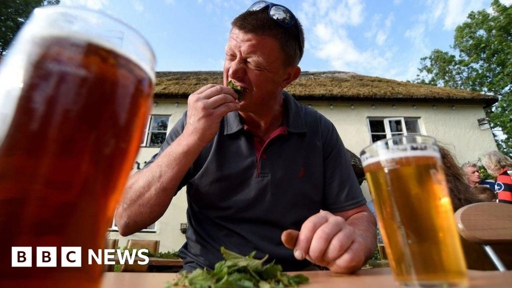 Nettle eating contest: Rules set for stinging nettle growers