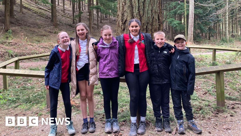Tallest tree in England receives makeover at Exmoor forest