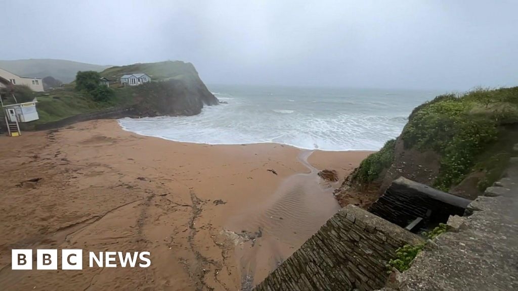 Devon woman died after fall while on dog walk, inquest hears