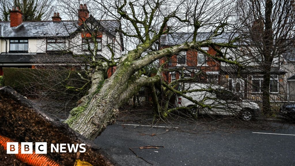 Storm Éowyn: 'Clamour' for compensation unfortunate, says official