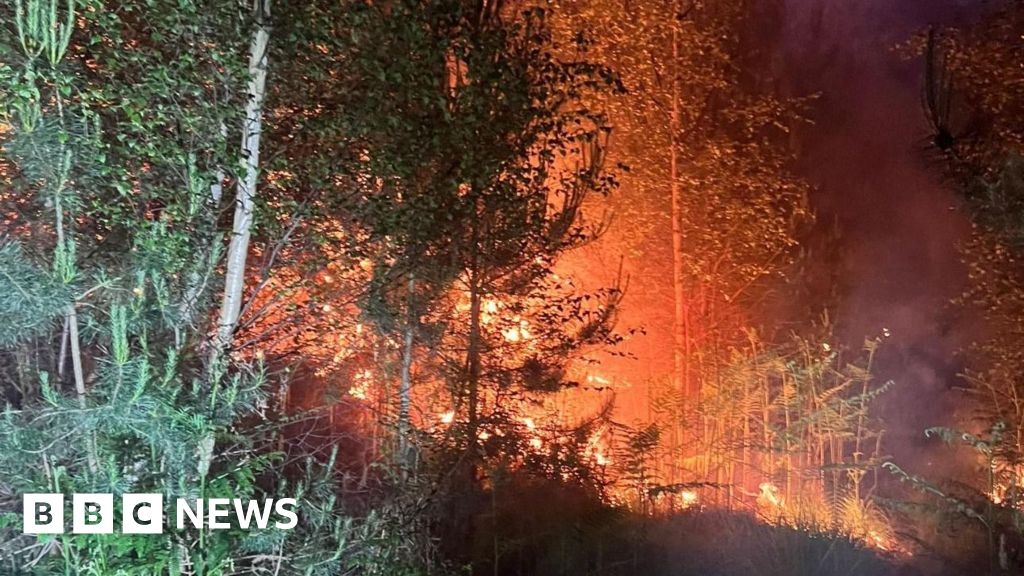 Holt Country Park fire tackled by crews from 13 stations