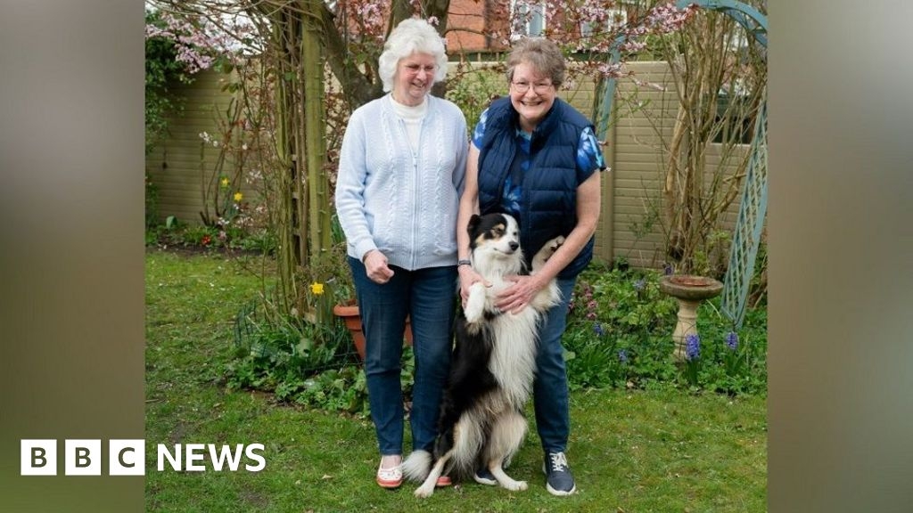 Market Weighton dog groomer set to pursue dream after lottery win