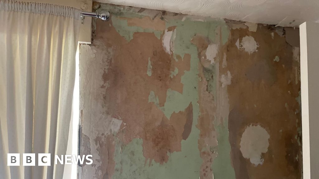 Newcastle City Council delay on clearing mouldy homes backlog