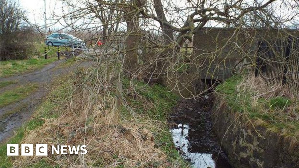 Dog owners warned to avoid Cut Throat Dene amid investigation