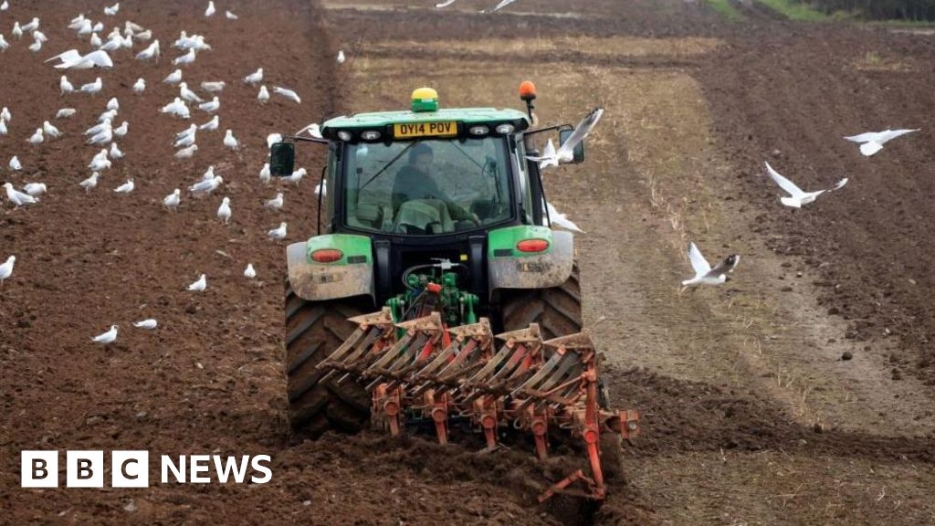 North Yorkshire farmers 'go to vets for advice on their health'