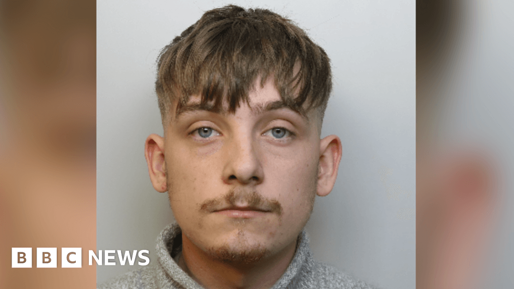 Avonmouth car meet driver sentenced for injuring pedestrian