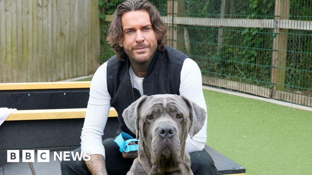 Pete Wicks 'on a mission' to rehome poorly Kenilworth dog