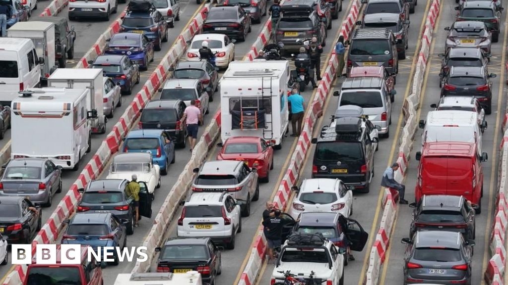 Dover 'chaos' is 'like herding cats', Kent council boss says