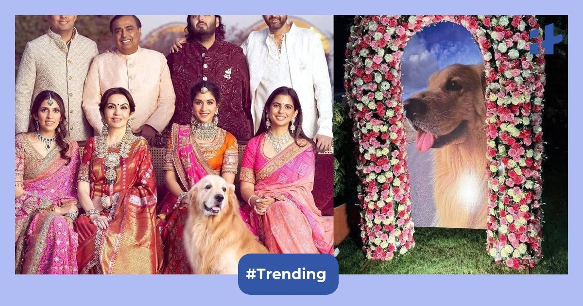 Ambani family mourns the loss of their pet Happy, Anant and Radhika pay tribute to the youngest member of the house