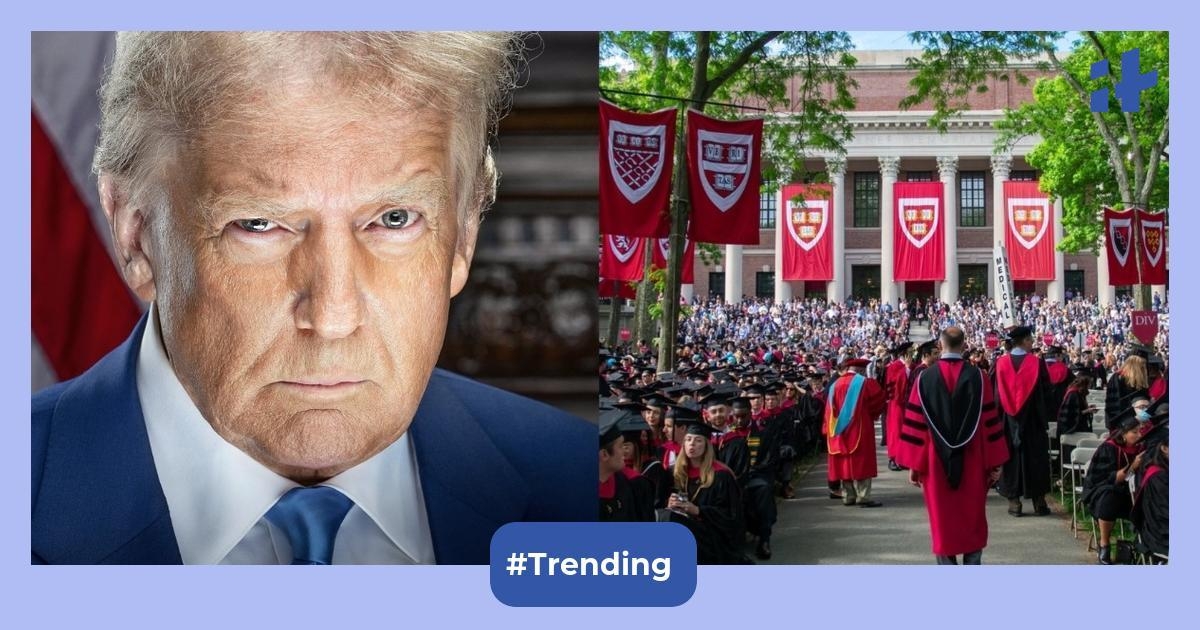 Donald Trump vs Harvard: Govt blocks university from enrolling international students; what this means for 788 Indians studying there?