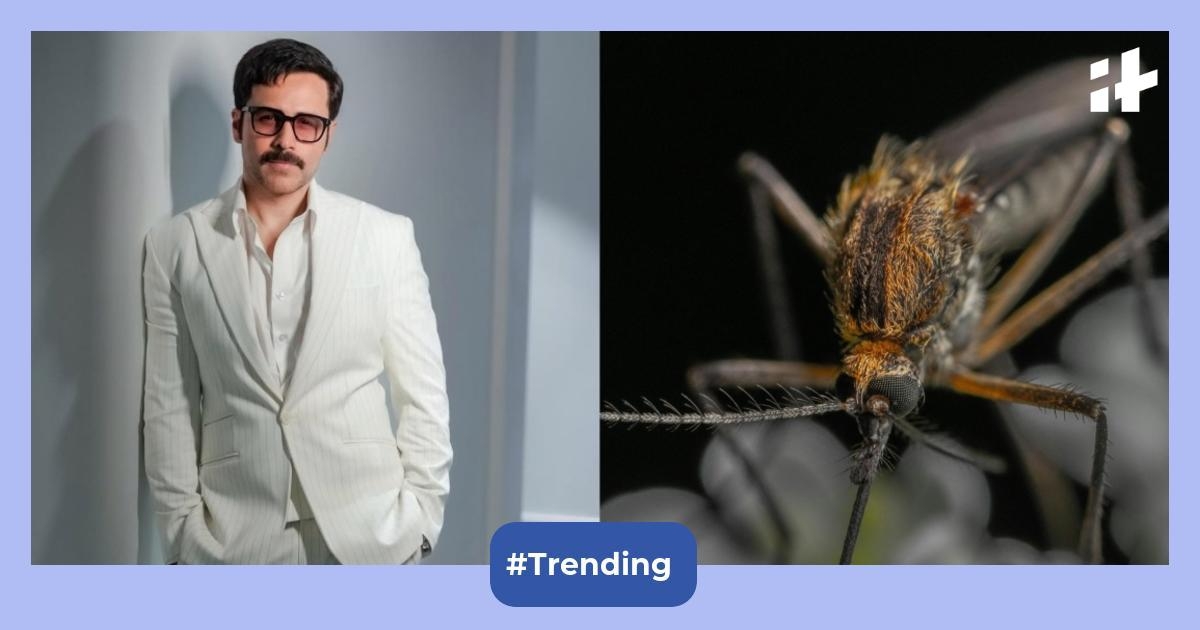 Emraan Hashmi tests positive for dengue during 'OG' shoot; experts list symptoms amid early monsoon surge