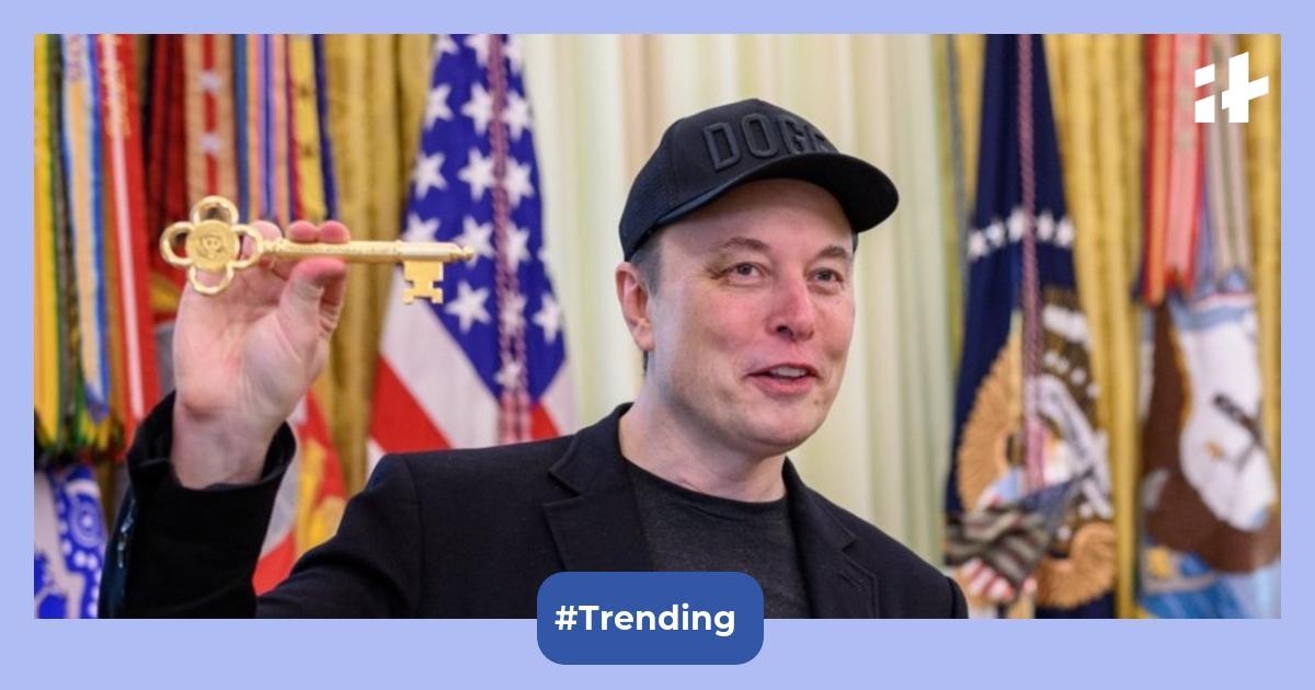 Did Elon Musk secretly father a child with a Japanese pop star? Here's what report says