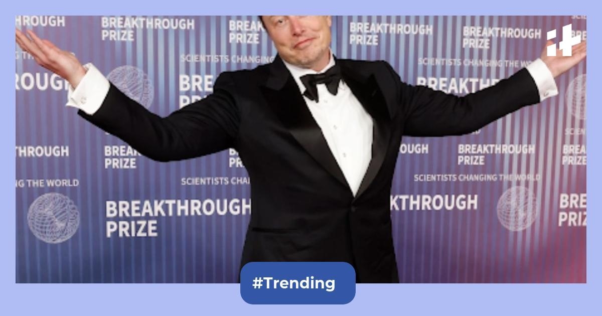 ‘Population will collapse'— Elon Musk's prediction gains traction as global numbers drop faster than expected; here's what we know