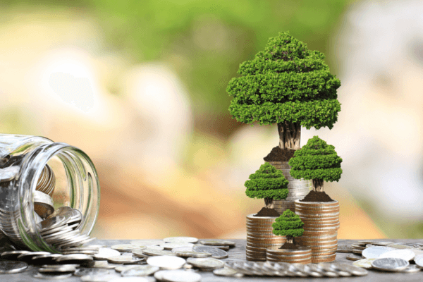 الحكومة المصرية ترفع استثماراتها الخضراء بنسبة 55% خلال 2025-2026