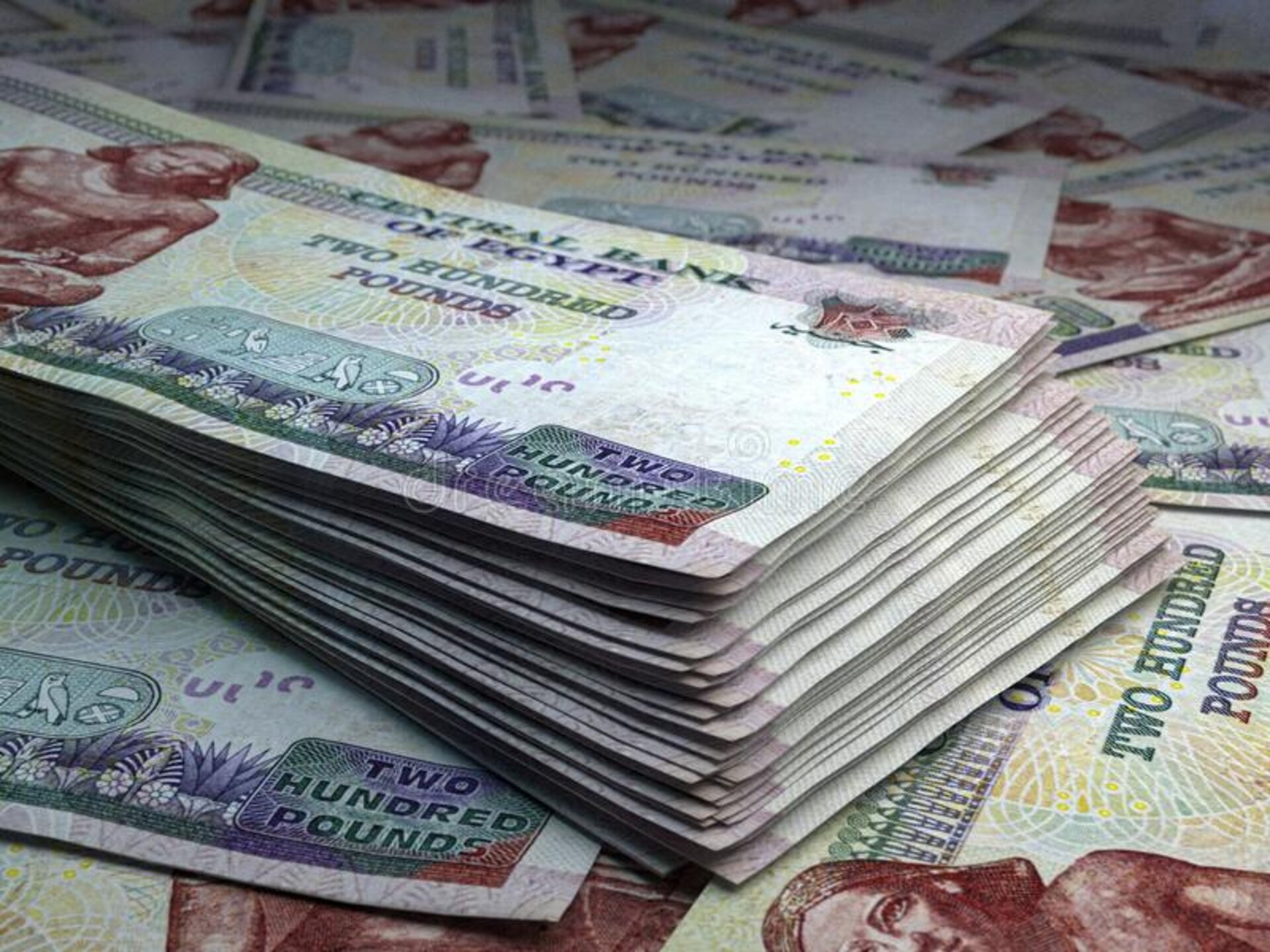 6.88 تريليون جنيه استثمارات البنوك فى الأوراق المالية