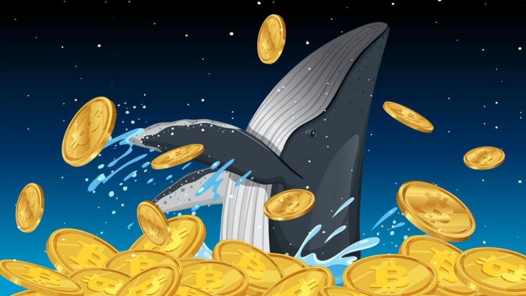 Bitcoin whale moves 10,603 BTC from three dormant wallets, following similar cases this summer