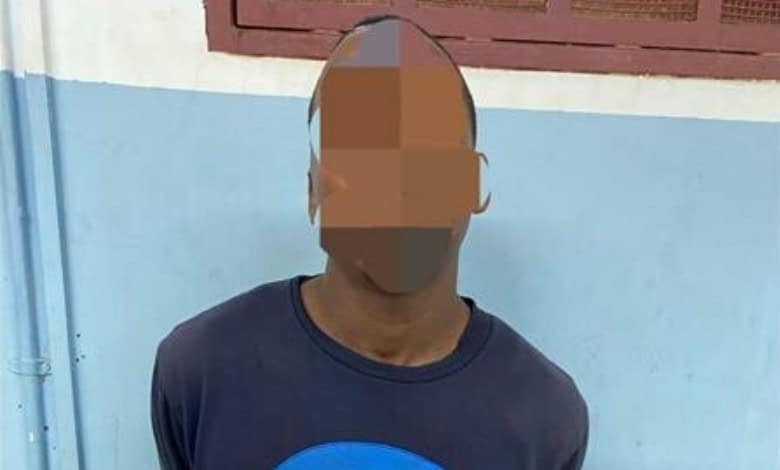 Listen: Soshanguve murder suspect nabbed hiding behind fridge